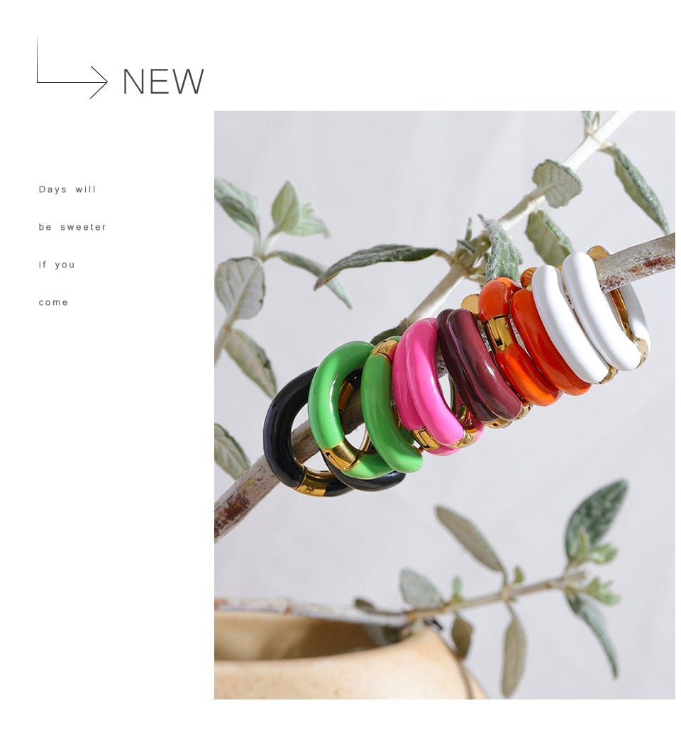 Color Pop Hoop Earrings - Stella Sage